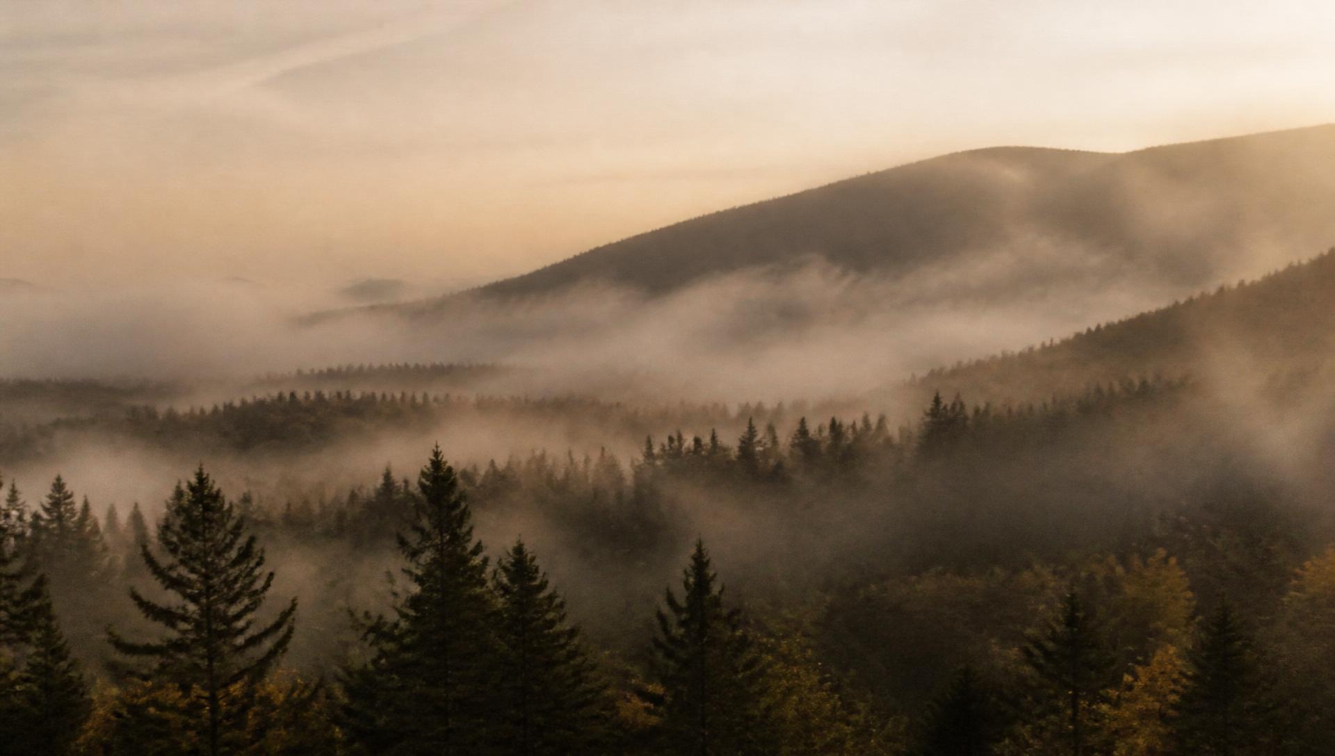 The Catskills near Roxbury, New York